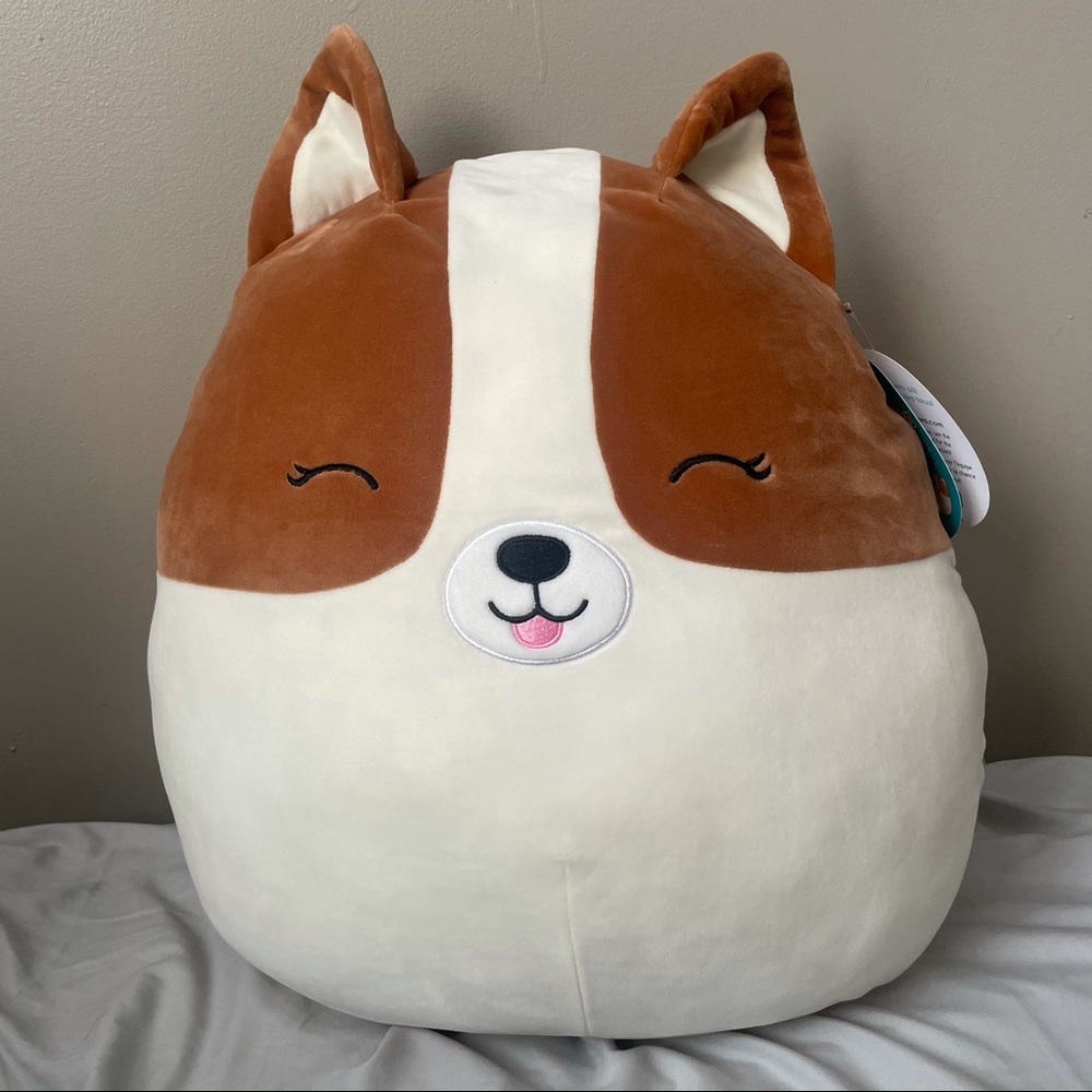 NWT 16” Squishmallow (Regina)